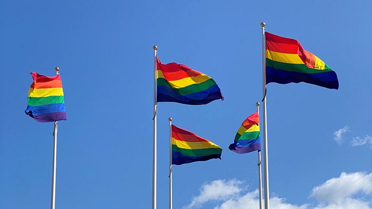 En ny nordisk forskningsrapport om unga LGBTI-personers hälsa skriven av en forskare vid JU presenterades under World Pride. JU hissar Pride-flaggorna den 23-29 augusti i samband med den lokala pridefestivalen Jönköping Qom ut.