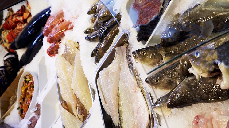 Norwegian seafood exports break new records in first half of 2017