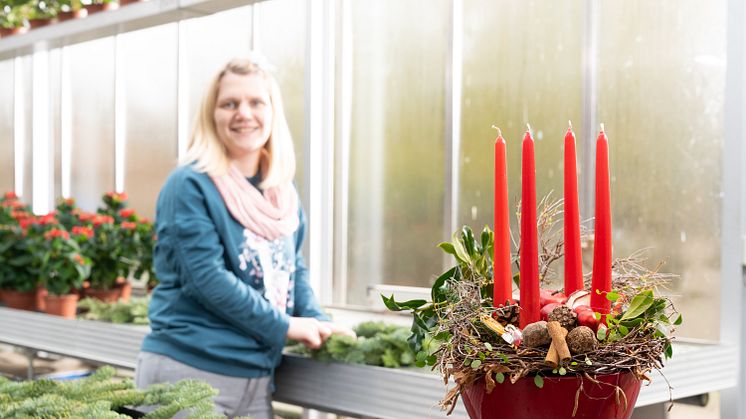 Stephanie Schrimpf bereitet Gestecke und Adventskränze für die Ausstellung in der Hephata-Gärtnerei vor.