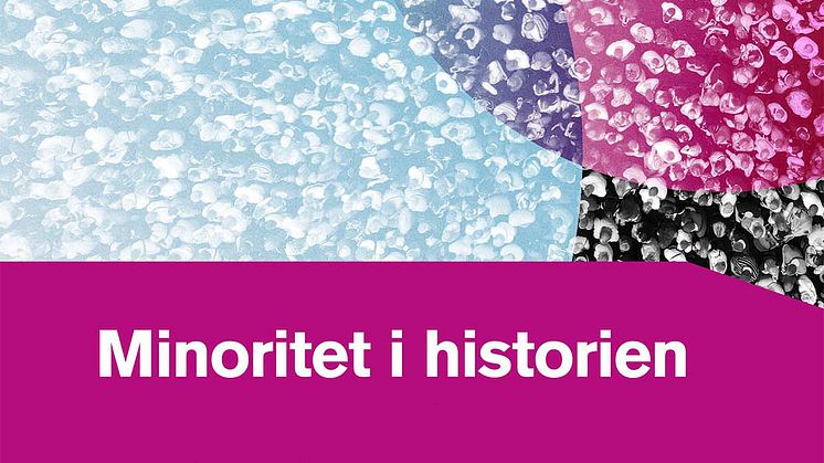 En ny rapport undersöker den svenska allmänhetens kunskaper om de nationella minoriteternas historia och dess inställning till historisk rättvisa. 