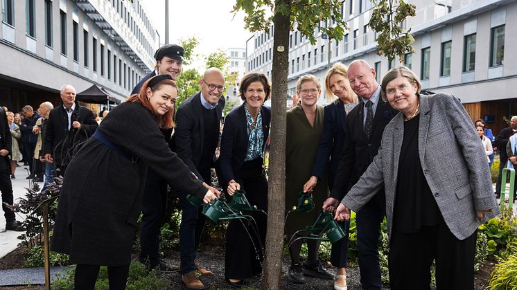 Från vänster: Disa Ahlbom-Berg, Niklas Carlbaum, Stefan Sandberg, Anna Kinberg Batra, Karin Wanngård, Caroline Arehult, Anders Söderholm och Astrid Söderbergh Widding. Foto: Nils Petter Nilsson.