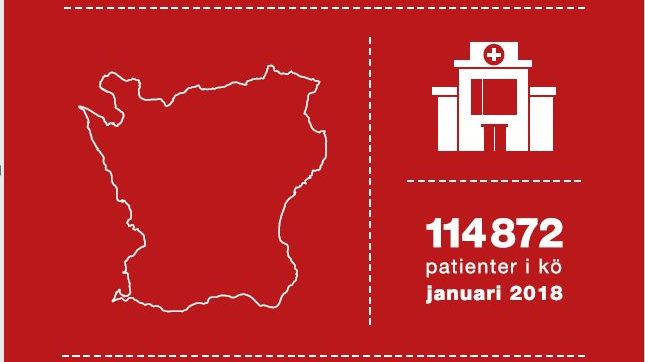 Vård, var god vänta - moderat rapport om skånsk sjukvård