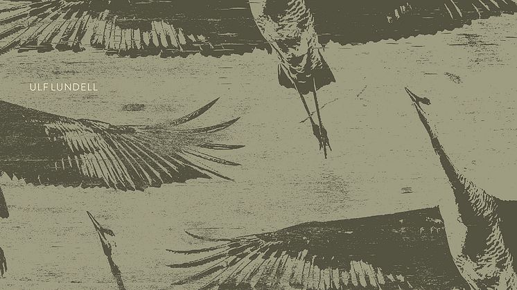 Ljus och mörker möts på Ulf Lundells nya album ”Tranorna kommer”