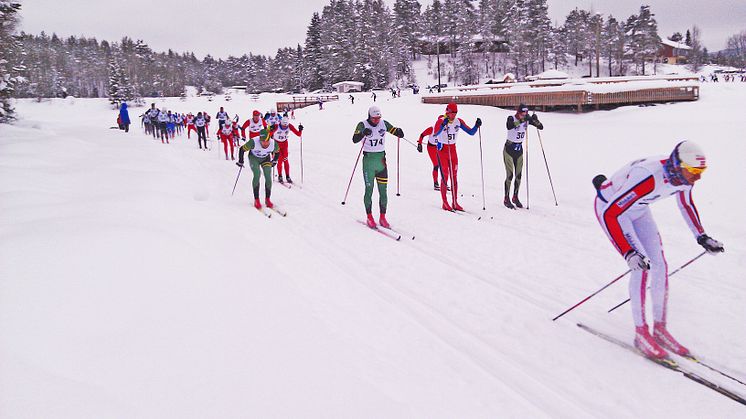 Trysil-Knut rennet