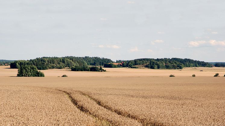 Akademiens synpunkter rör framförallt jordbruket och produktion av jordbruksvaror.