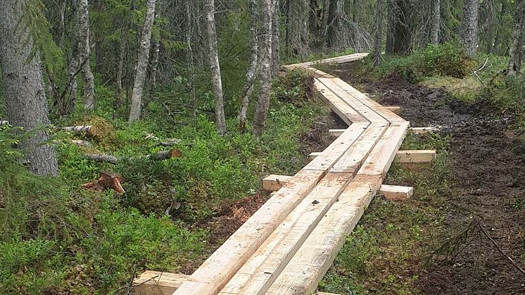 Ny sträckning för löparna i Vasaloppsarenan inför sommarveckan 2019