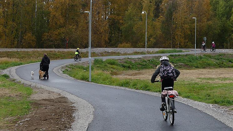 Bra jobbat till alla elever och personal som deltog i höstens utmaning.  Foto: Hanna Wimander