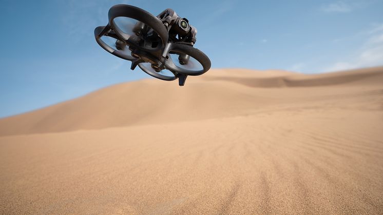 DJI Avata - Desert Shot 10