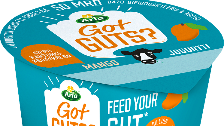 ARLA Got Guts? mangojogurtti