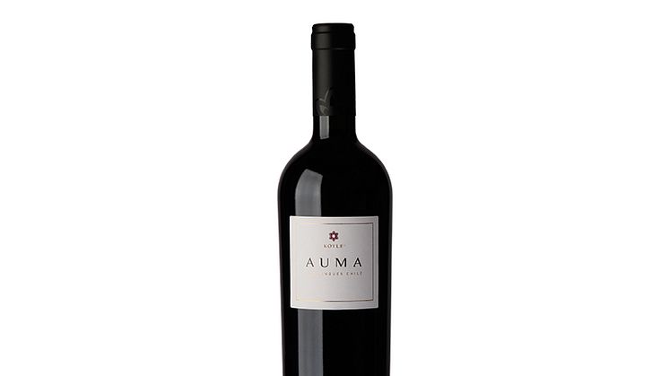 Exklusiv lansering - Koyle Auma, ett vin med stor lagringspotential