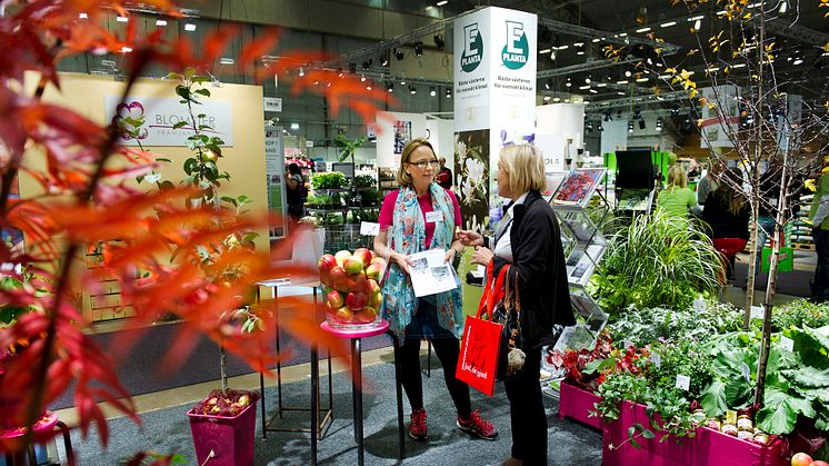 Stabiele groei in Scandinavische tuinbranche