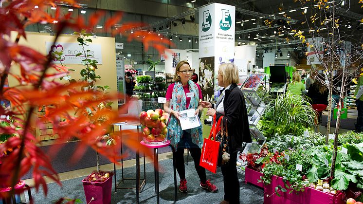 Stabiele groei in Scandinavische tuinbranche