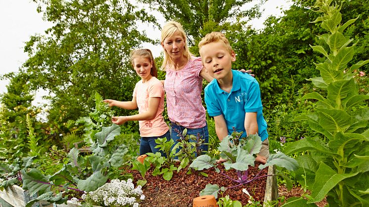 Floragard:  vegan und bio im eigenen Garten