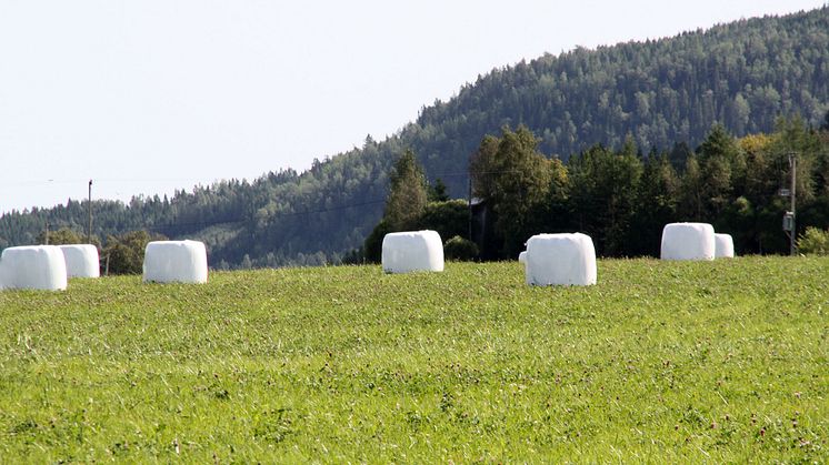 Räddaren i nöden? Jordbruket banar väg till en hållbar framtid