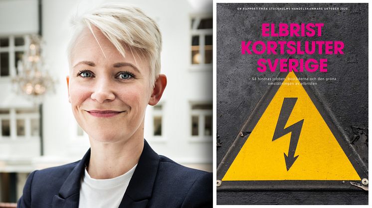 Rapporten i sin helhet bifogas som PDF.