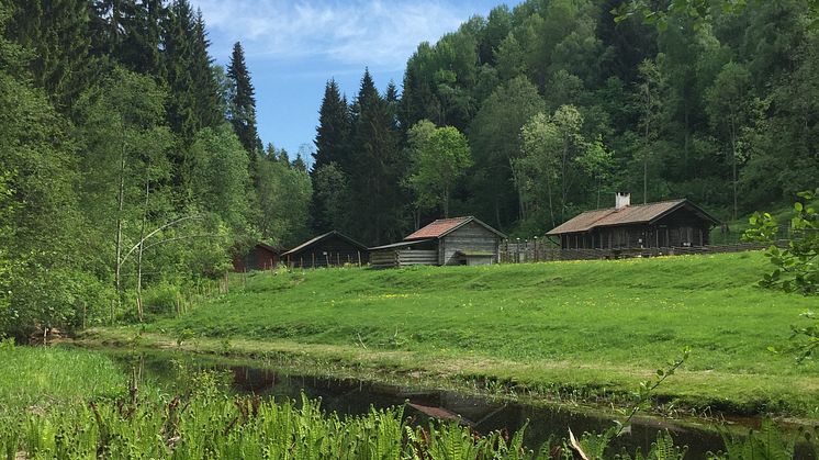 Fäboden i Säterdalen. Foto: Säters kommun