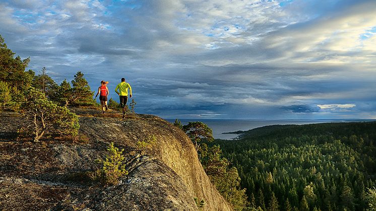 De fyra kommunerna i Höga Kusten vill ta klimatomställningen en nivå till.