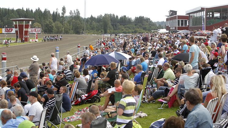 Sommartravet på Hagmyren med varmt och kallt