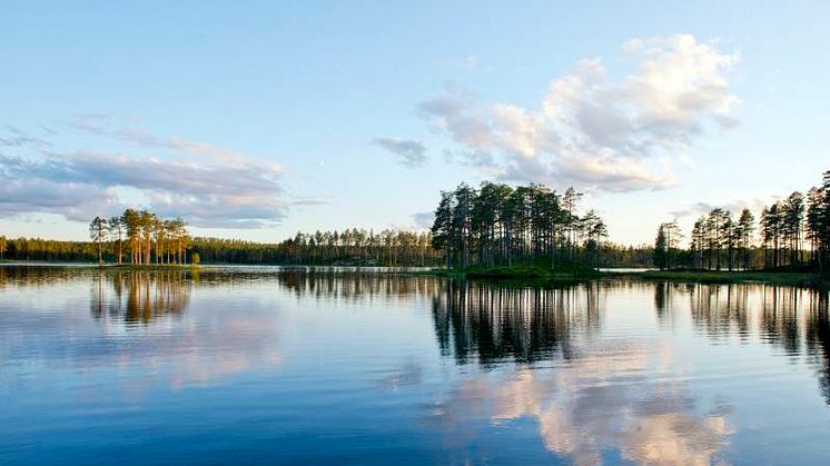 Sommarlugn på elmarknaden – mer osäkert till vintern