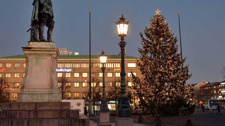 Julgranen på Gustaf Adolfs torg 2019
