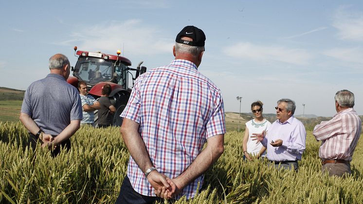 Mondelez International reúne a cerca de un centenar de colaboradores en torno al proyecto de agricultura sostenible “Compromiso Harmony”