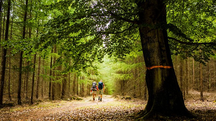 ​Nya namn i styrelsen för Tourism in Skåne AB