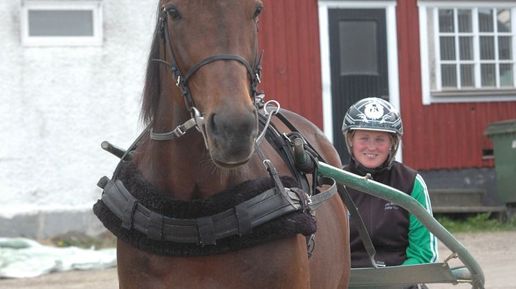 Maharajah tackas av på Elitloppet