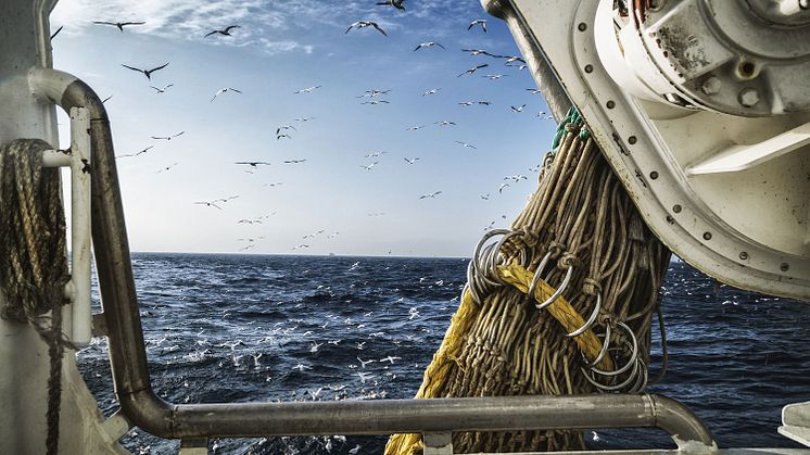 Marine Stewardship Council - Chain of Custody (MSC CoC) er den mest anerkjente internasjonale standarden for bærekraftig sjømat.