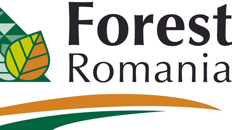 Forest Romania, 16-18 sept 2015