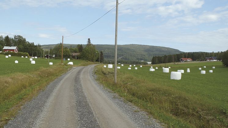 2019-11-11 Svenskt jordbruk 2030 – vägen dit