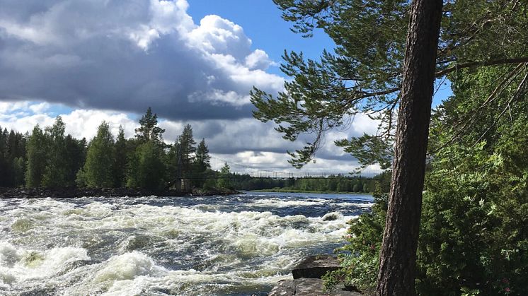 Vindelälven, Västerbotten