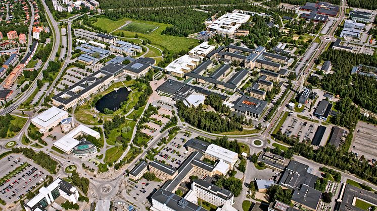 Översiktsbild Lilljansberget i Umeå