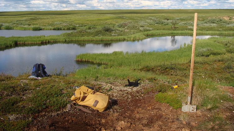 En paus under provtagning av ett våtmarkskomplex med permafrost och öppna sjöar i Seida, nordöstra delen av europeiska Ryssland. Foto: Gustaf Hugelius.