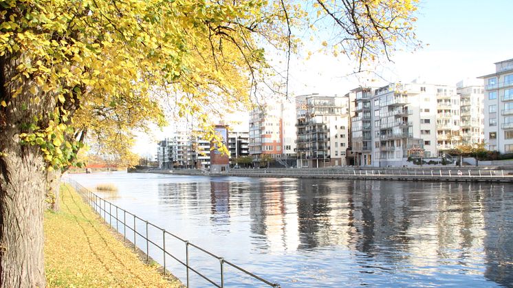 Halmstad växer som mötesdestination.