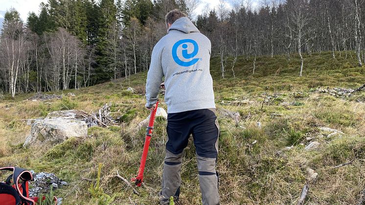 Procon Digital planter klimaskog i Norge