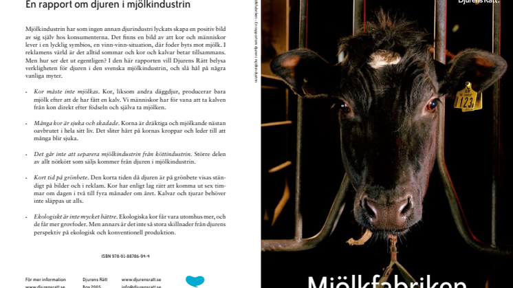 Djurens Rätts rapport Mjölkfabriken