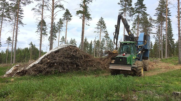 Flisning av grot, dvs. hyggesrester i form av grenar och toppar. Foto: Stefan Löfgren