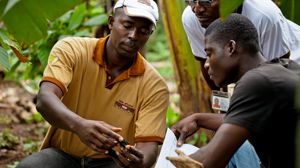 Nestlé becomes first food company to partner with the Fair Labor Association