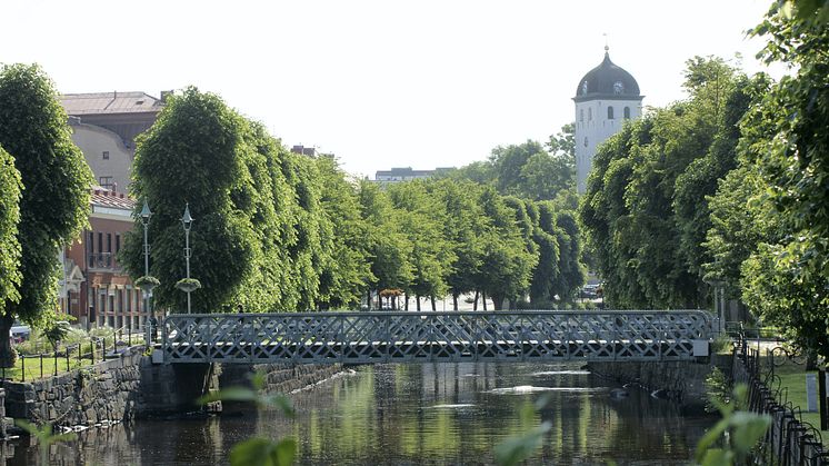 Nytt projekt ska öka kunskap om fisken i Bäveån