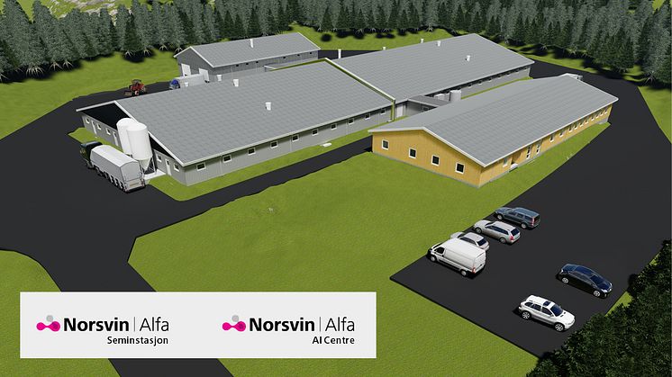 Norsvin innvier i vår seminrånestasjonen Norsvin Alfa, som med sine 4 000 m2 blir blant Europas største av sitt slag. 