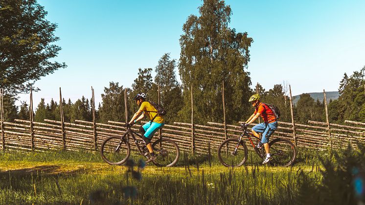 BikingDalarna_Farmland_fotoErikKilstrom_VisitDalarna