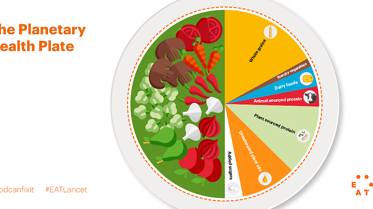 EAT–Lancet rapporten: Ett angeläget inlägg i hälso- och klimatfrågan