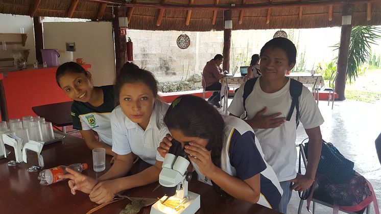 Kestävän kehityksen koulutusta Meksikon luonnonihmeiden säilyttämiseksi