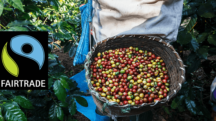 Fairtrade-kaffe