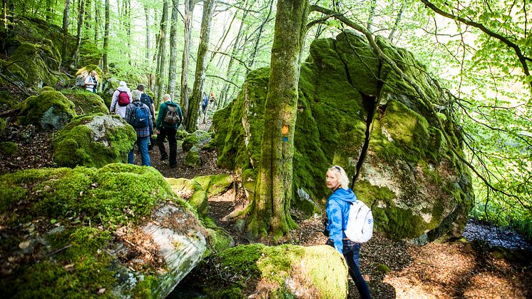 Nya vandringsleder i varierad natur på Sveriges största vandringsfestival