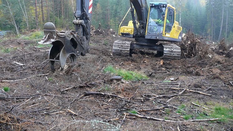 Stubbskörd. Foto: Pär Aronsson, SLU