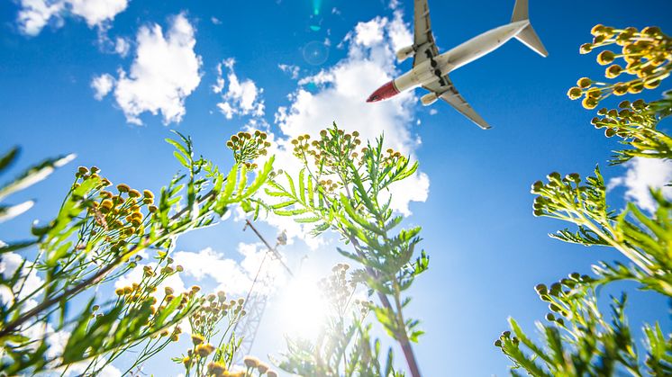 Norwegian till Almedalen för att delta i debatter om framtidens flyg