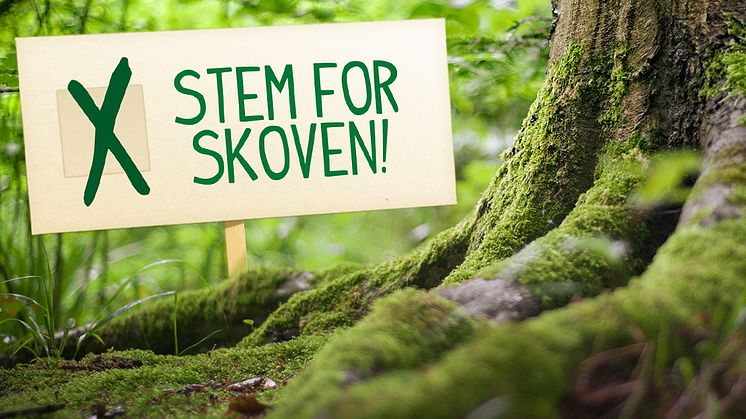 Stem for skoven: Stil grønne spørgsmål til din folketingskandidat