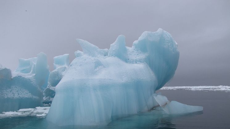 Akvaplan-niva bidrag til miljøovervåking på Svalbard og Jan Mayen