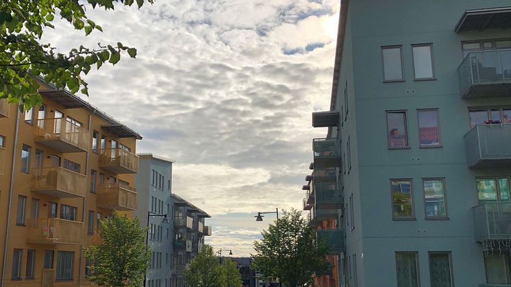 Wåhin Fastigheters hus på Södergatan i Märsta.